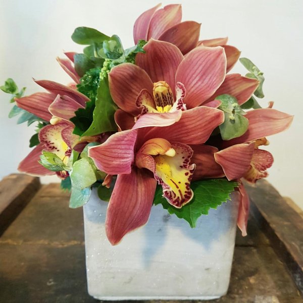 Orchid arrangement