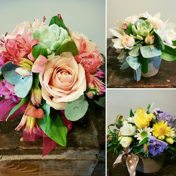 Terracotta pot arrangements